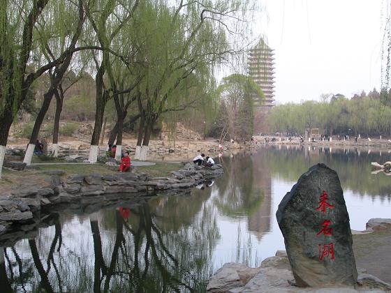 The lake called 'Unnamed Lake' at Beijing University, the giant pagoda in the background
