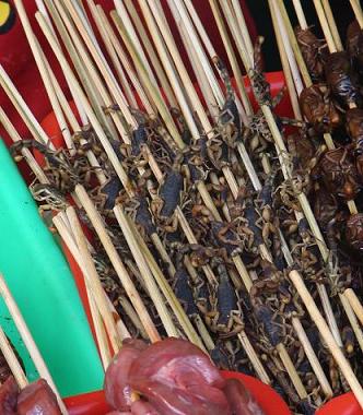 Some scorpions on a stick please!