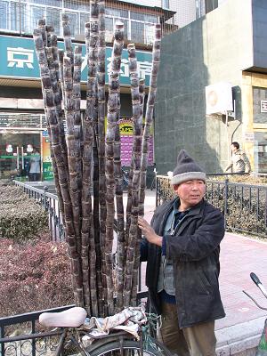 Man selling Ganshe, or sugar cane