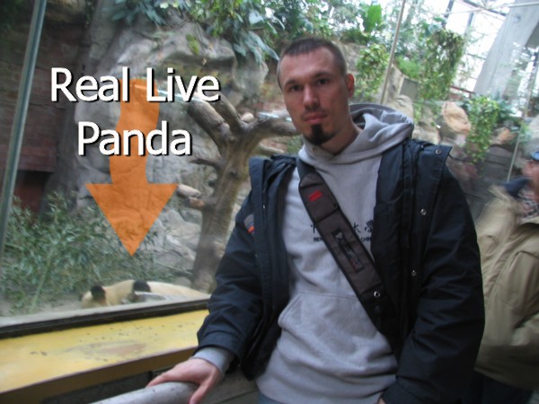 Mark and the Panda at the Beijing Zoo